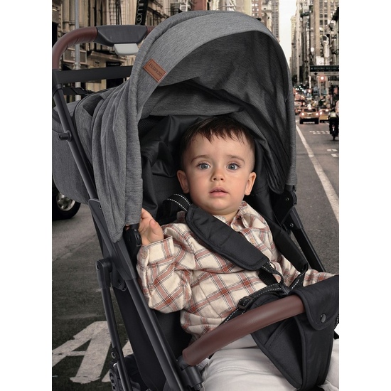 Прогулочная коляска DEAREST 820 Plus (2024) GingerЧерная рама - 5