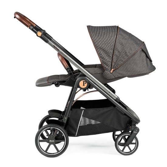 Коляска 2 в 1 Peg Perego Veloce TC Belvedere 500 - 20