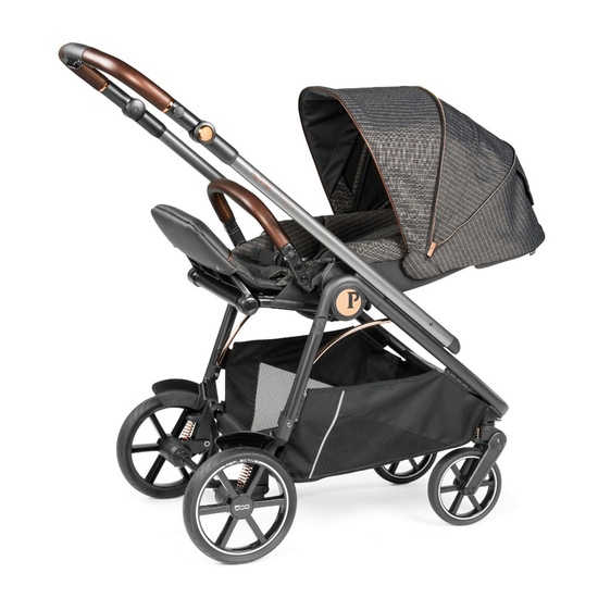 Коляска 2 в 1 Peg Perego Veloce TC Belvedere 500 - 21