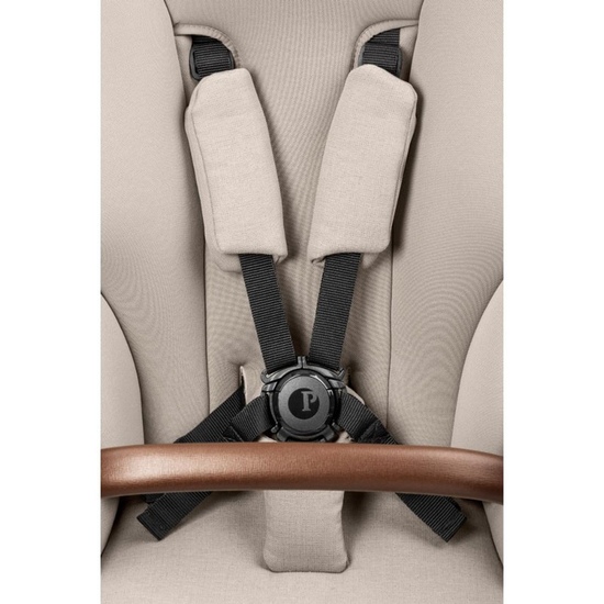 Коляска 2 в 1 Peg Perego Veloce TC Belvedere Astral New - 29
