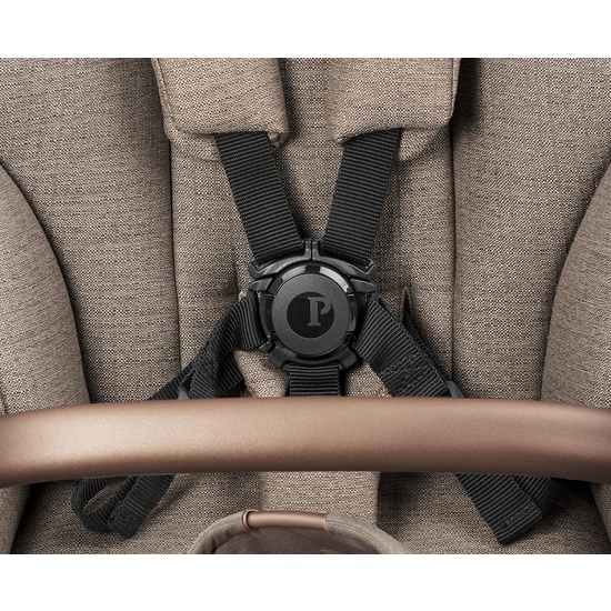 Коляска 2 в 1 Peg Perego Veloce TC Belvedere Mon Amour New - 31