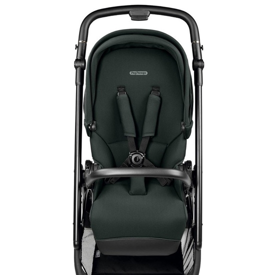 Детская коляска 2 в 1 Peg Perego Veloce TC Brio Metal - 17