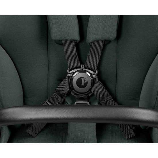 Детская коляска 2 в 1 Peg Perego Veloce TC Brio Metal - 18